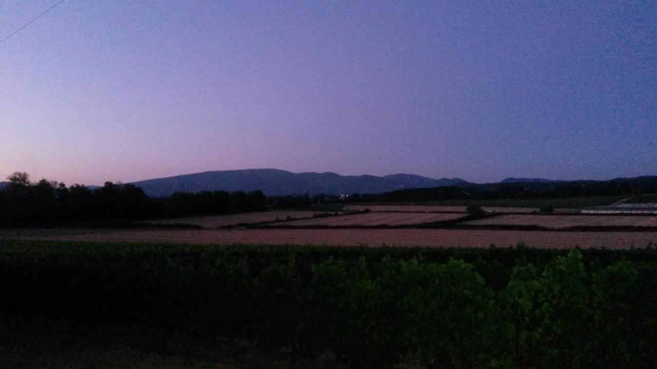 费美德帕鲁美恩住宿加早餐旅馆 维桑 外观 照片